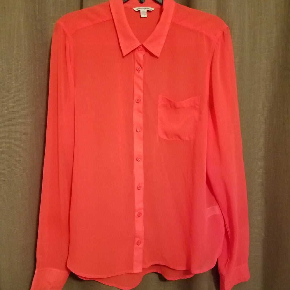 NWOT-Sheer Blouse